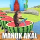 Manuk akal