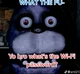 Bonnie needs wi-fi 