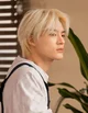 lee jeno