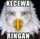 Kecawa ringan Eagle