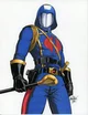 Cobra commander 