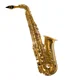 Alto Saxophone
