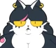 Catti