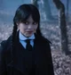 Wednesday F Addams 