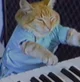 Keyboard cat
