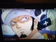 Trafalgar Law 