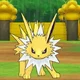 Jolteon 