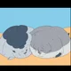 Two obese seals