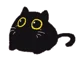 Your local cat