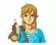 The Zelda Fandom