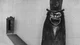 The Babadook