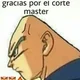 Bald Vegeta -OLD-