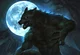 A Werewolf 