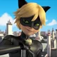 Chat noir 