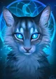 JayFeather