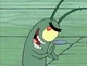 Plankton