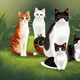 Cat group