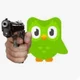 Duolingo