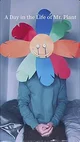 Mr plant - adialomp