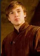Pedro pevensie 