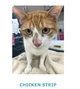 ChikenStwip