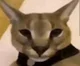 Hecker