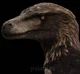 Utahraptor