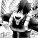 Shoto Todoroki