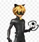 Cat noir