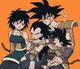 Kakarot family 