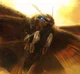 Mothra
