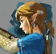 Older brother Link