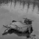 Panzer Of The Lake-L