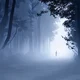 The woods -Horror-