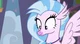 Silverstream
