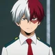Shoto Todoroki 