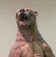 Short-faced bear