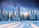 Snowy forest
