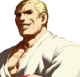 Geese Howard