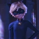 Cat Noir