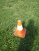Cone