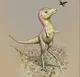 Baby Tyrannosaurus