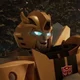 Bumblebee-TFE-