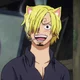 Cat Sanji