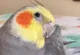 yumyumthetiel