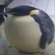 Fat_Penguin