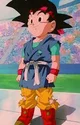 Goku Jr