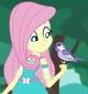 Fluttershy EQG