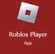 Roblox Player