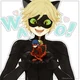 Chat Noir